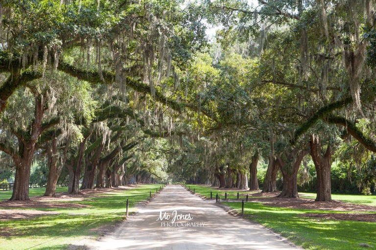 Boone Hall Plantation Photographer