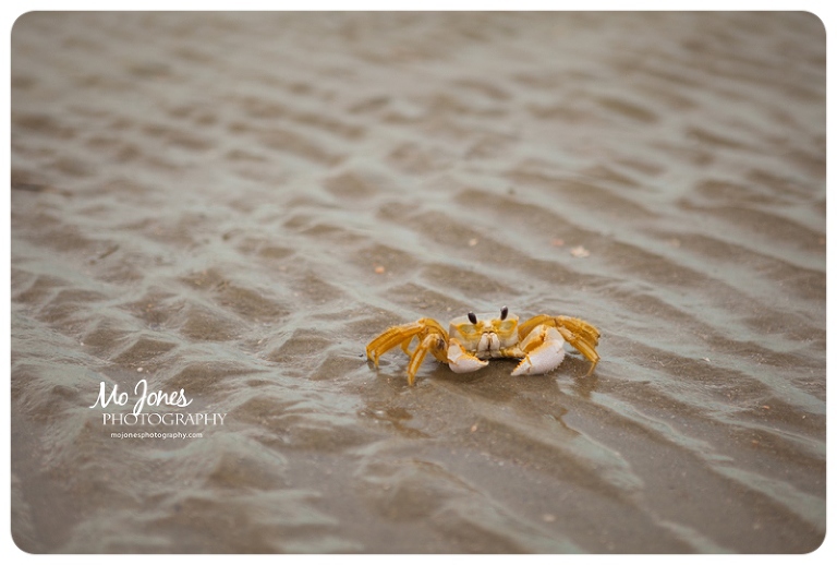 Folly Beach Family Photographer
