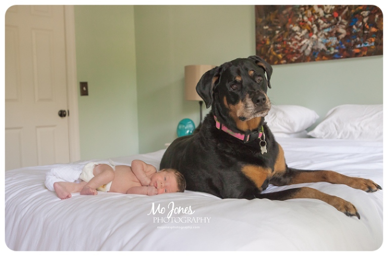 Charleston Newborn Photographer