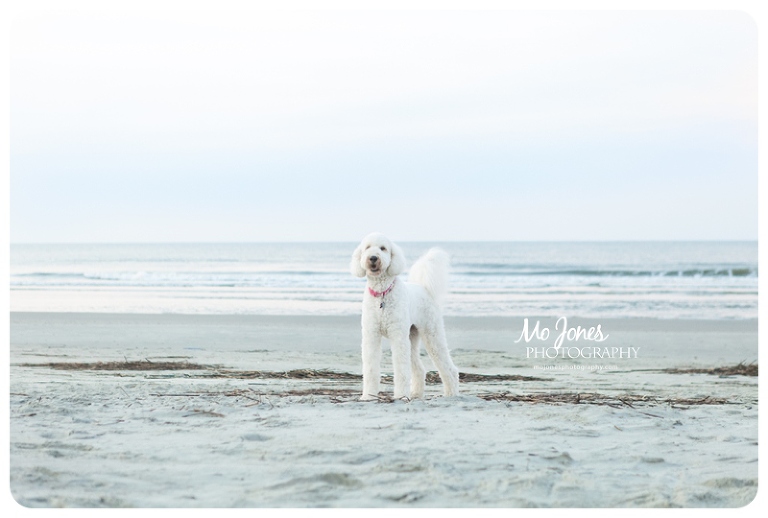 Charleston Family Beach Photographer