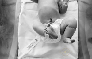 Hospital Newborn Photographer Charleston Fresh 48 Photographer