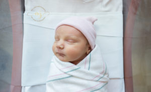 Hospital Newborn Photographer Charleston Fresh 48 Photographer