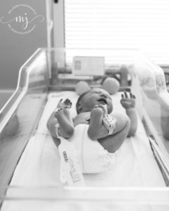 Charleston Fresh 48 Newborn Photographer