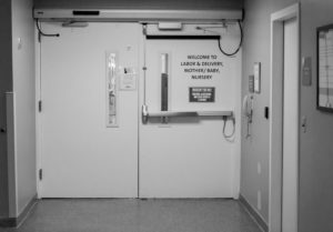 Charleston Fresh 48 Newborn Photographer