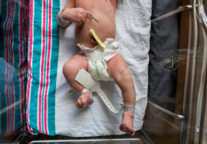 Charleston Fresh 48 Newborn Hospital Photographer