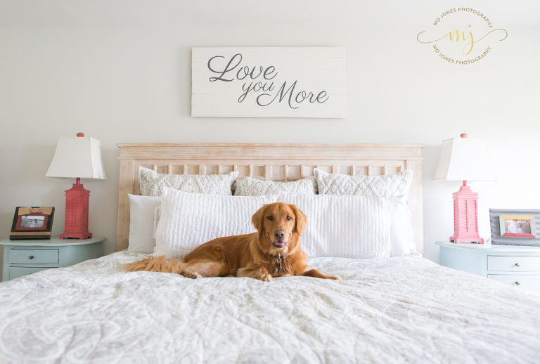 Charleston Newborn Lifestyle Photographer