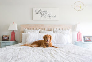 Charleston Newborn Lifestyle Photographer