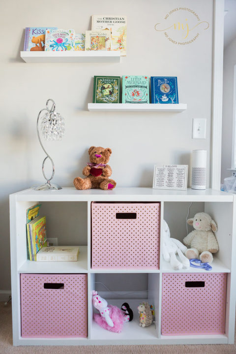 Huntsville Newborn Photographer