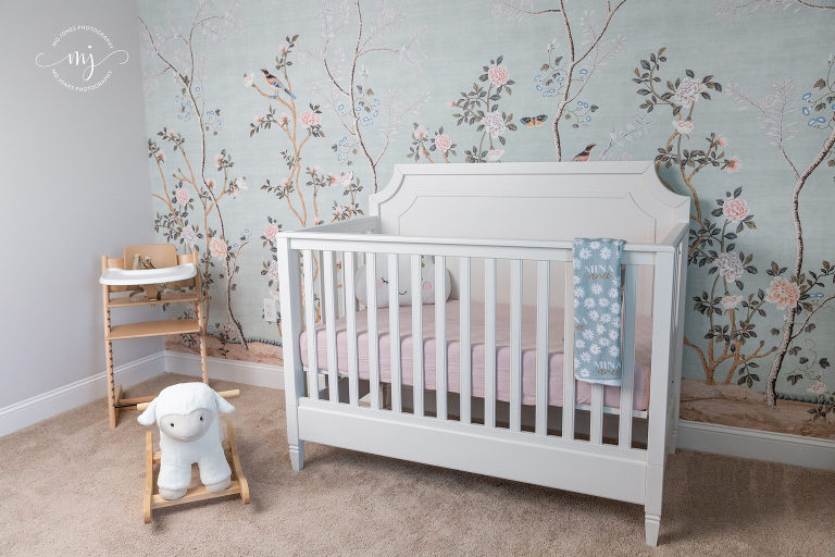 Huntsville Newborn Photographer